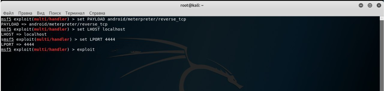 Terminal works. The Network connection was been disconnected kali. Kali failed to start Network interfaces.