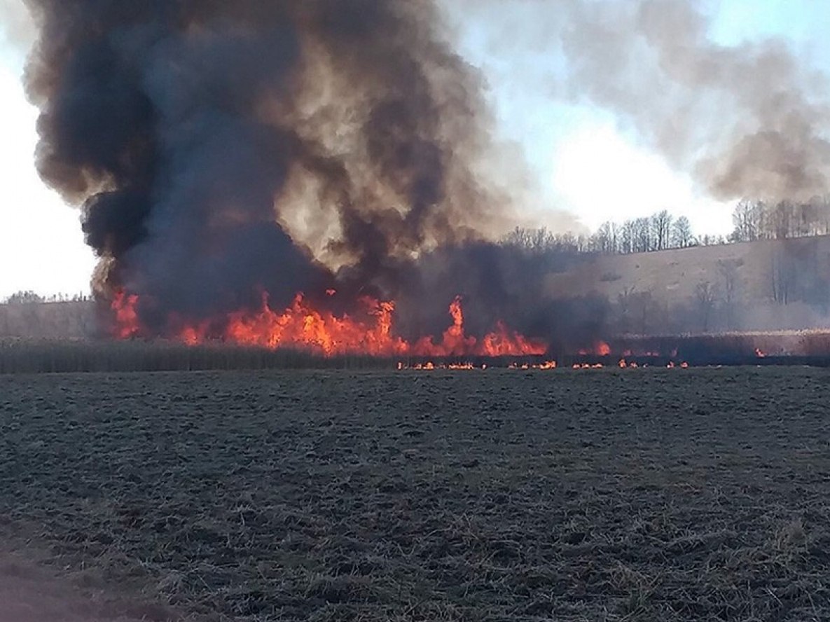 Особый противопожарный режим введен в Хабаровском крае