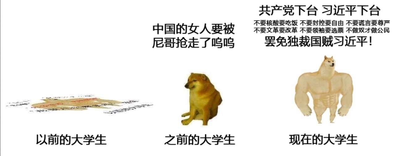https://telegra.ph/file/25ee7872207ec2c20bc19.jpg