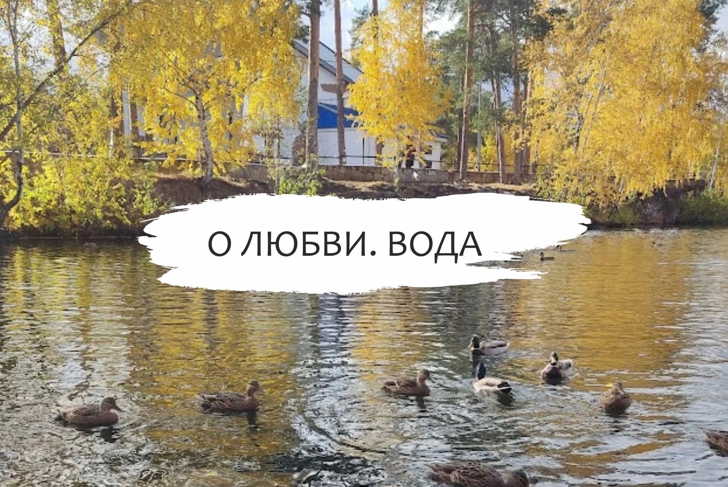 Вода любимая