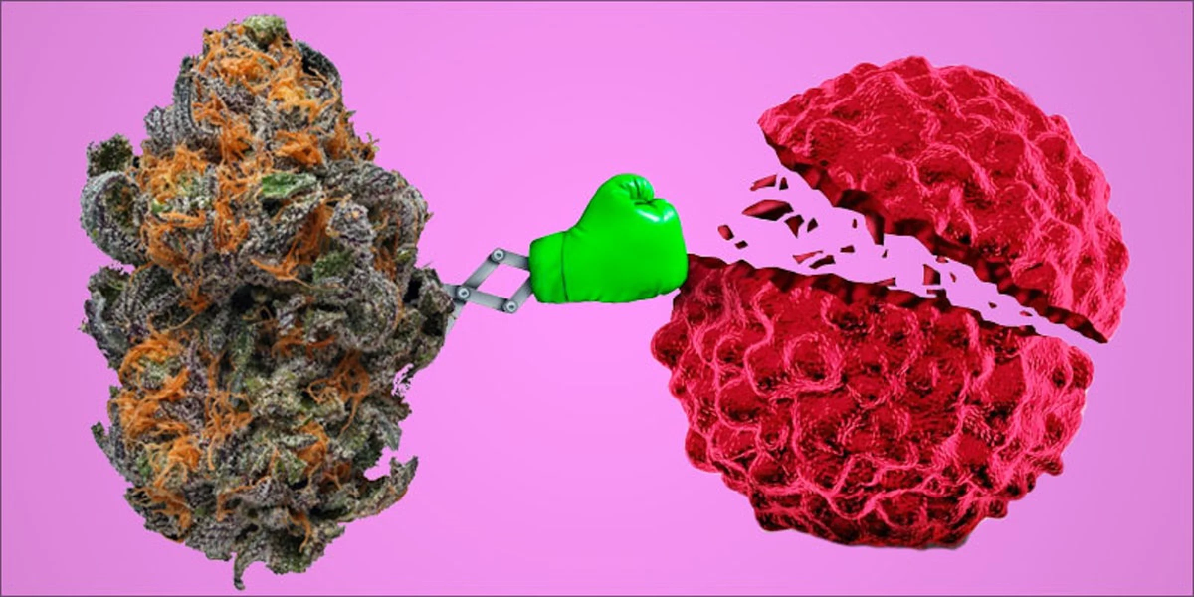 марихуана и онкология