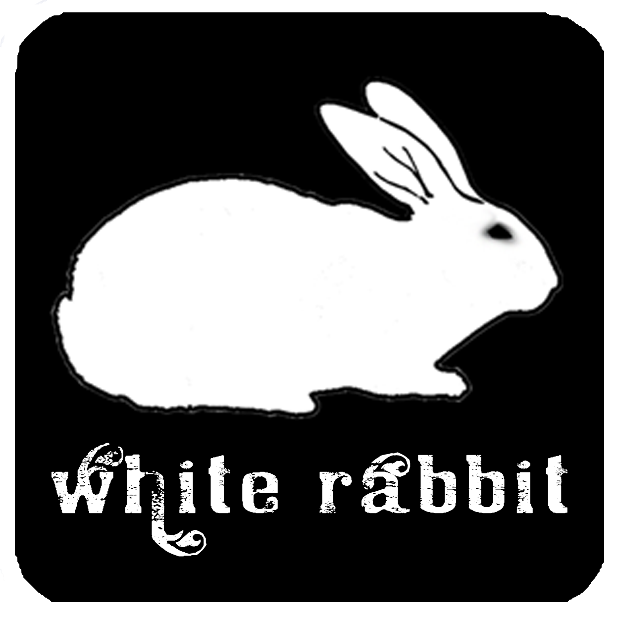 White rabbit перевод. Следую за белым куроликом. Белый кролик матрица. Иди за белым кроликом. Следую за белым кроликом.