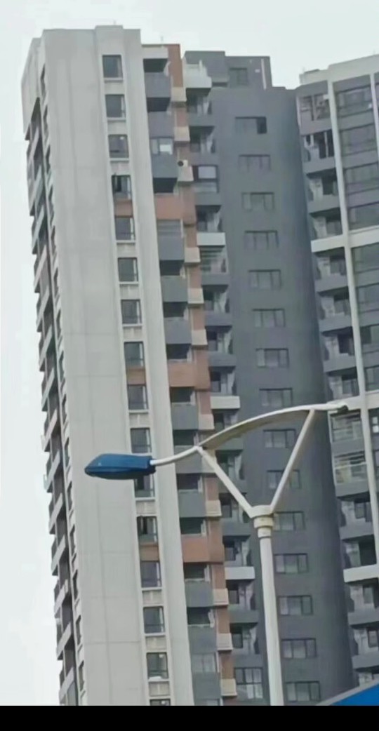 https://telegra.ph/file/26f6519e7e537e4fba2dc.jpg