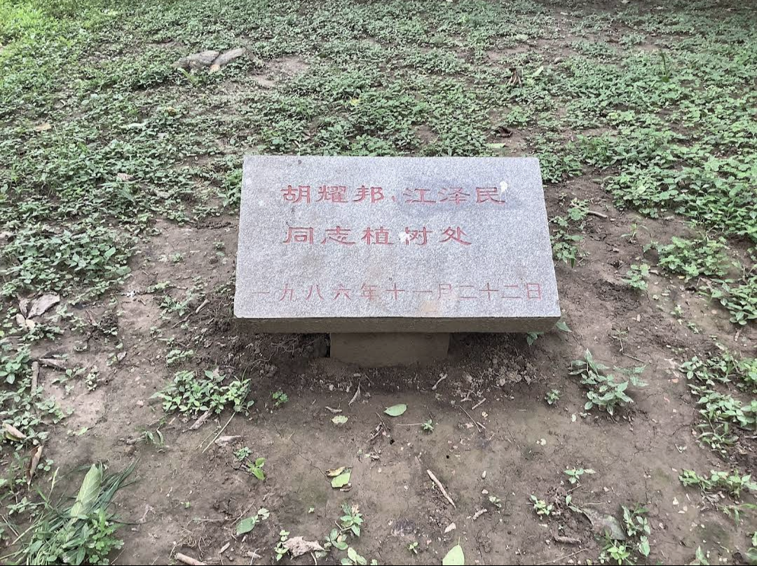 https://telegra.ph/file/26fcfa02a549f6ebf8c69.png