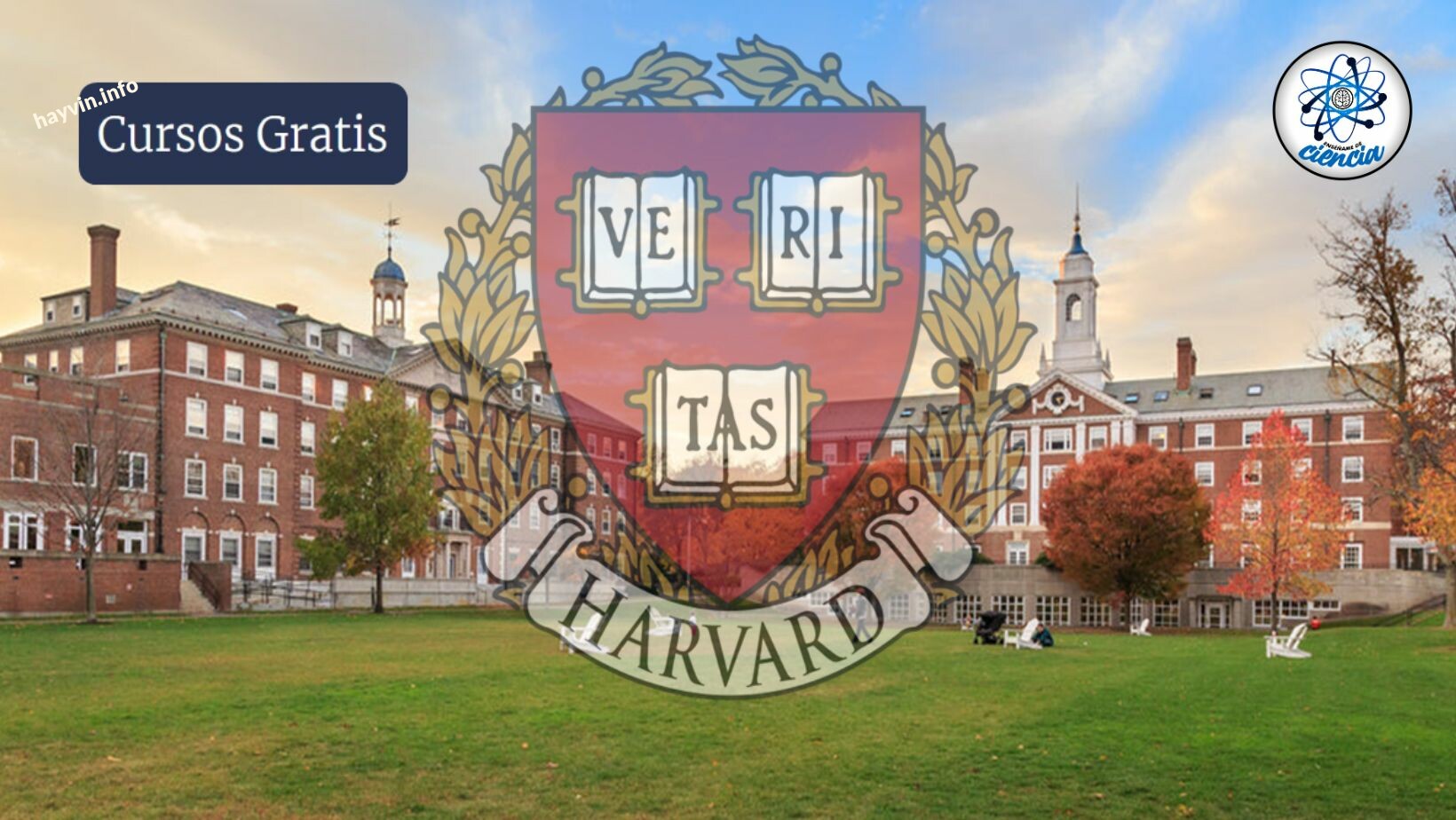 A Harvard Egyetem 127 INGYENES online tanfolyamok hivatalos TANÚSÍTVÁNYAL!