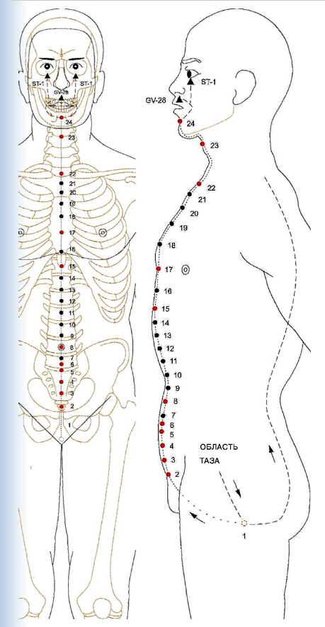 Специальные точки. Меридиан зачатия в китайской медицине у женщин. Точка Ци май. Переднесрединный Меридиан Пучко. Поясничный Меридиан.