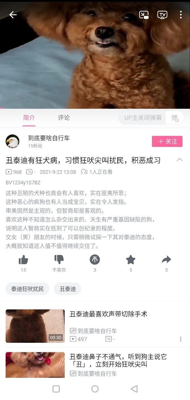 https://telegra.ph/file/2823acf15e62f4cd0f33f.jpg