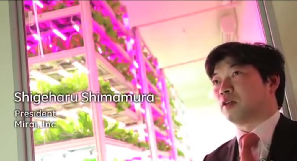 В Японии установлен мировой рекорд по площади крытой фермы