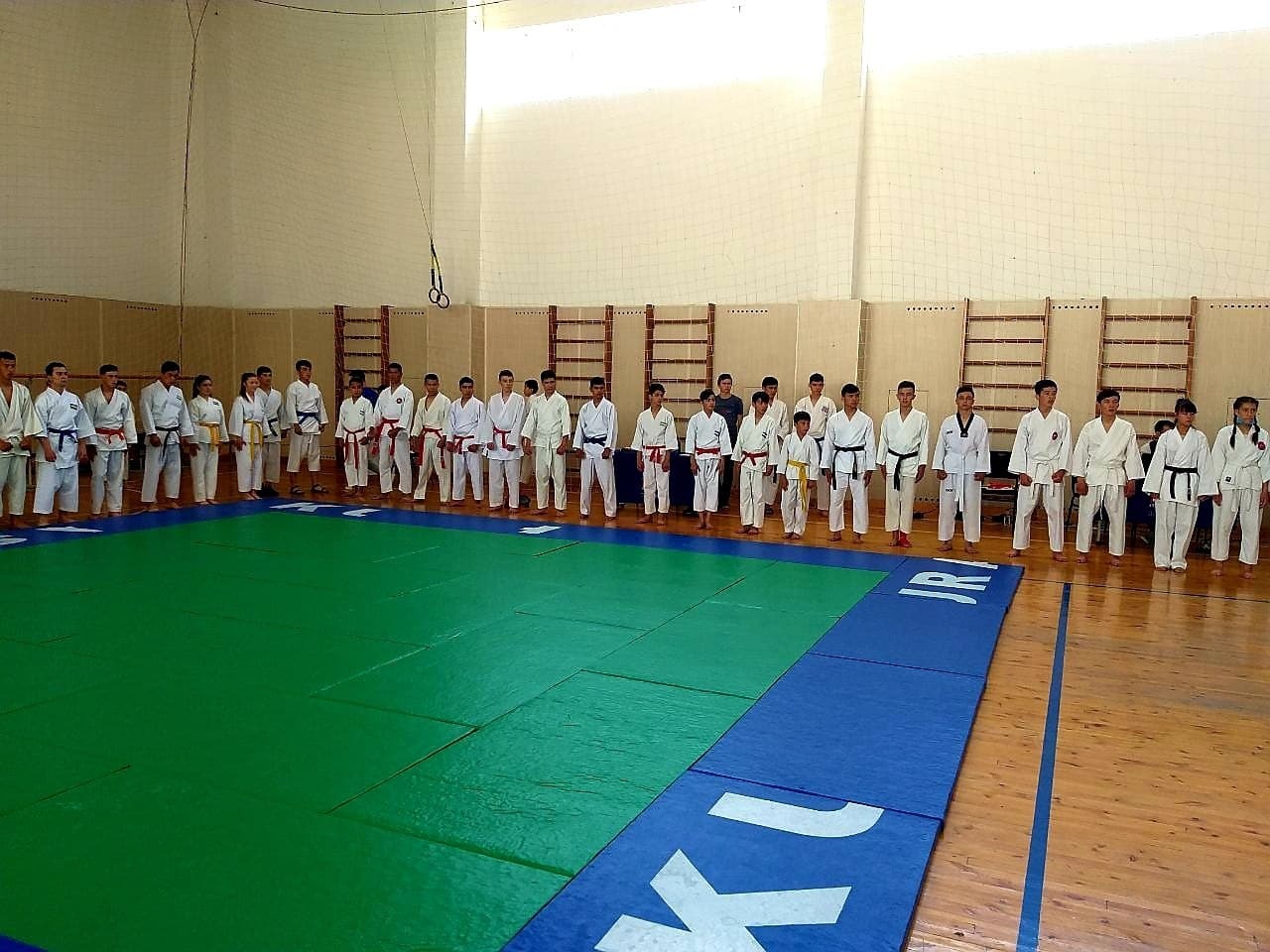 ITKF Karate do