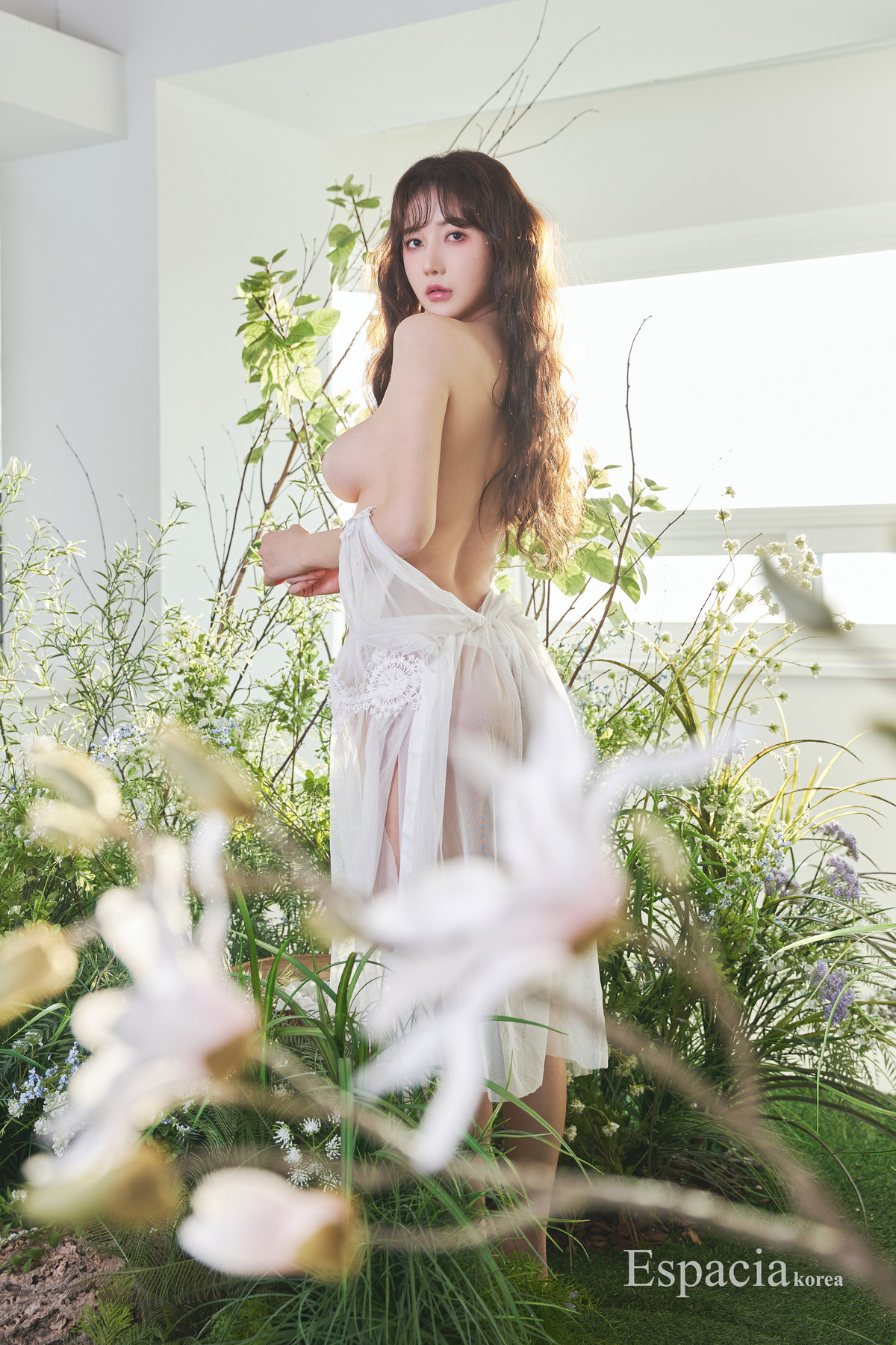 K.D.L 감동란, Espacia Korea EHC#131 10