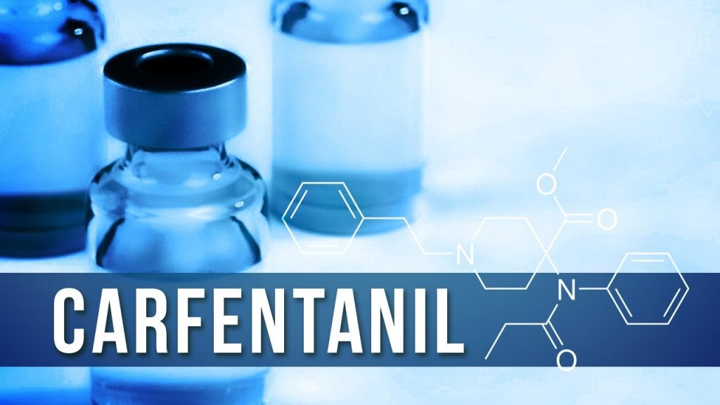 Карфентанил – Telegraph