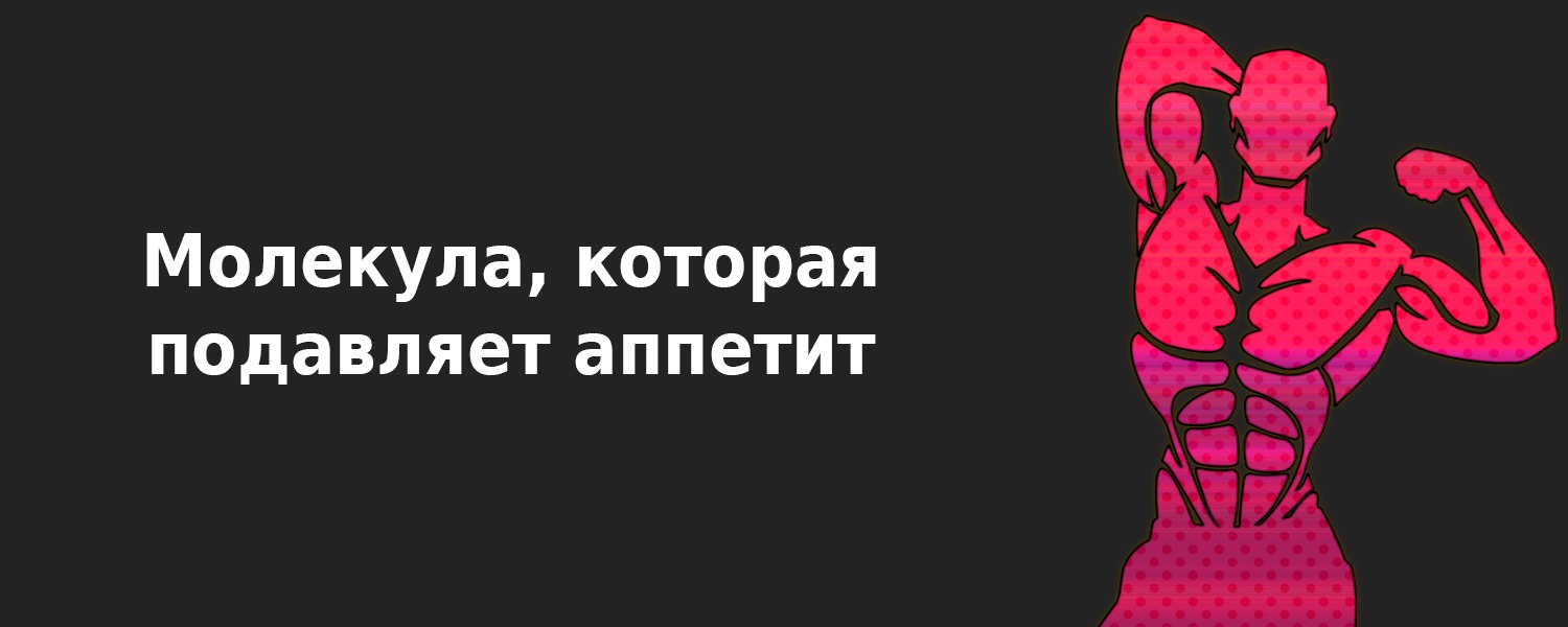 Молекула, которая подавляет аппетит – Telegraph