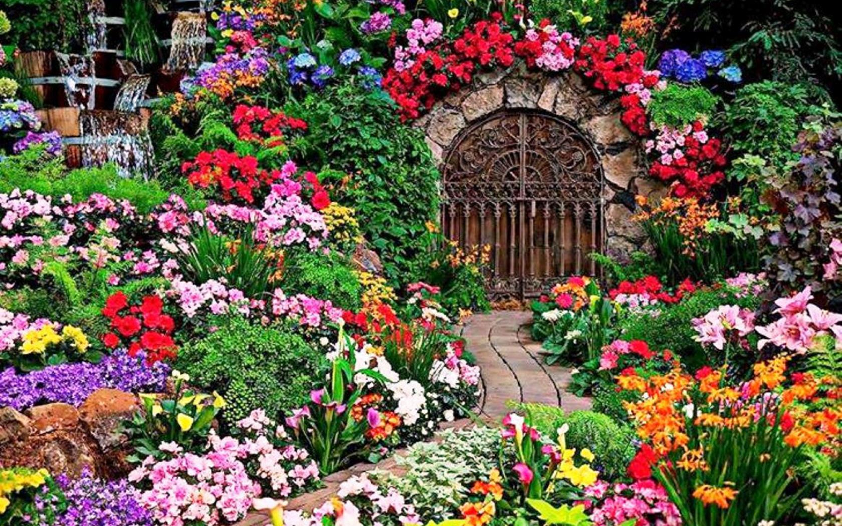 Сады в другом значении. Флаверс Гарден. Красивый сад. Цветы в саду. Цветочный сад.