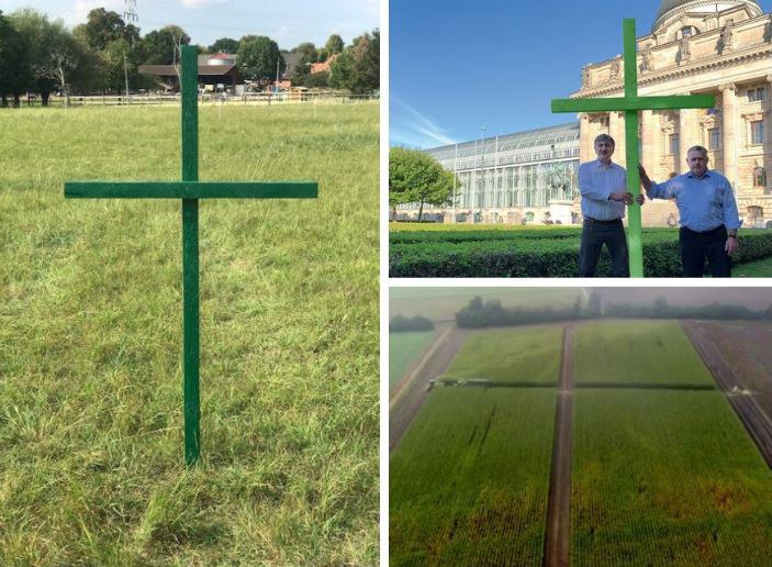 Зеленые кресты на полях – знак протеста немецких фермеров против нового пакета сельхоззаконов