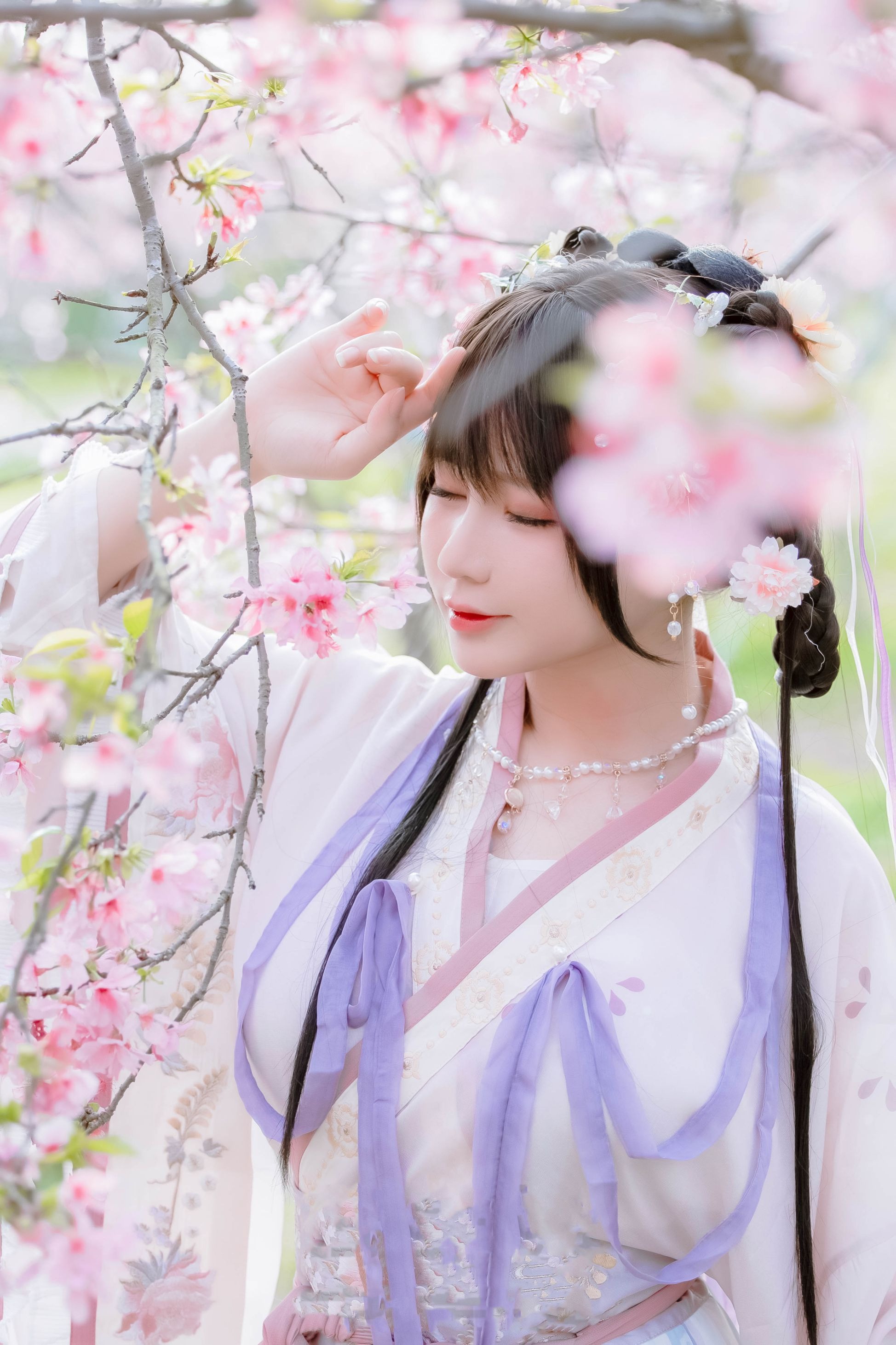 喵子Nyako - 樱花汉服 花神祈愿 [52P-219MB] 52