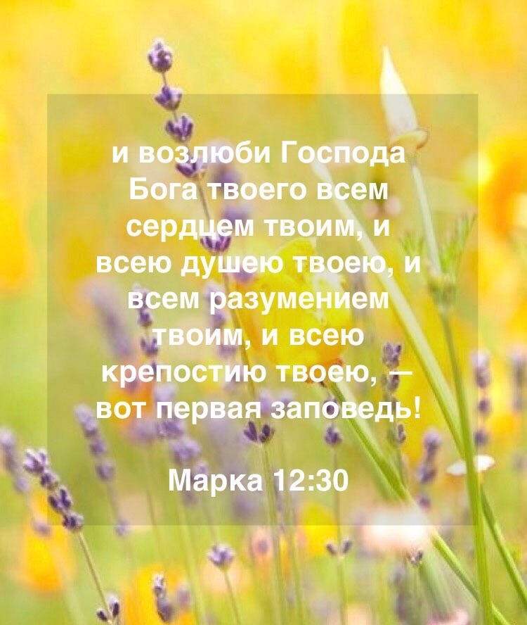 Возлюби бога. Возлюби Господа Бога твоего. Возлюби Господа всем сердцем. Возлюби Господа Бога твоего всем сердцем твоим и всею душею. Возлюбим Бога и ближнего своего.