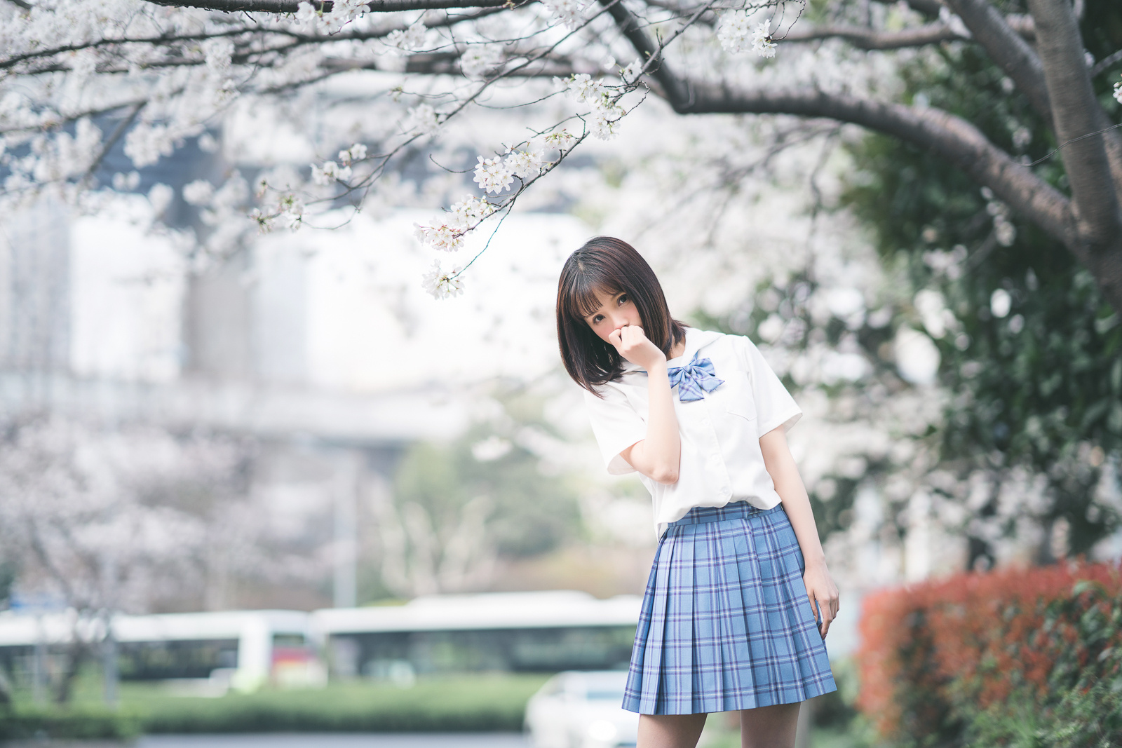 图片[78]-028 迷失幻境系列 – 第028期（JK制服） [122P-191.48 MB]-六色网