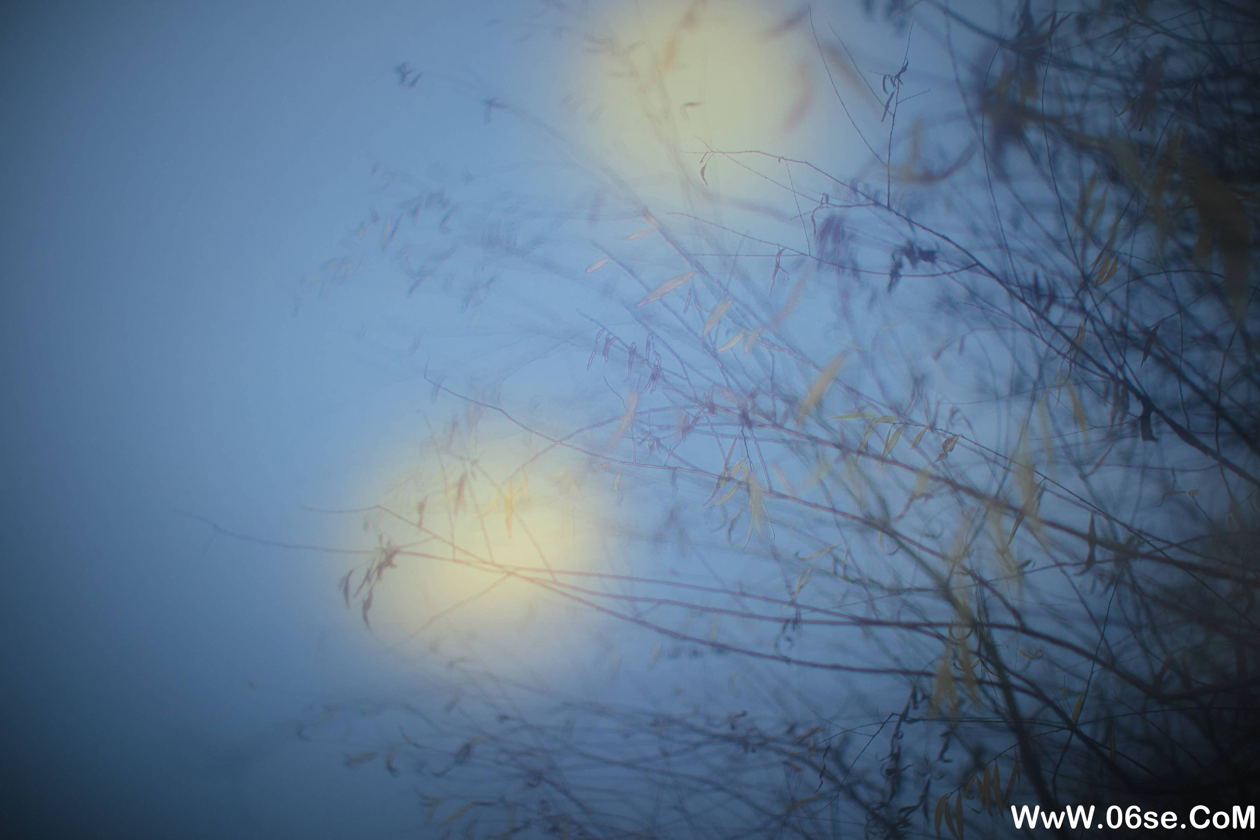 图片[13]-[YITUYU艺图语]2021.10.28 海底月 葵花花花儿[19+1P／93MB]-六色网