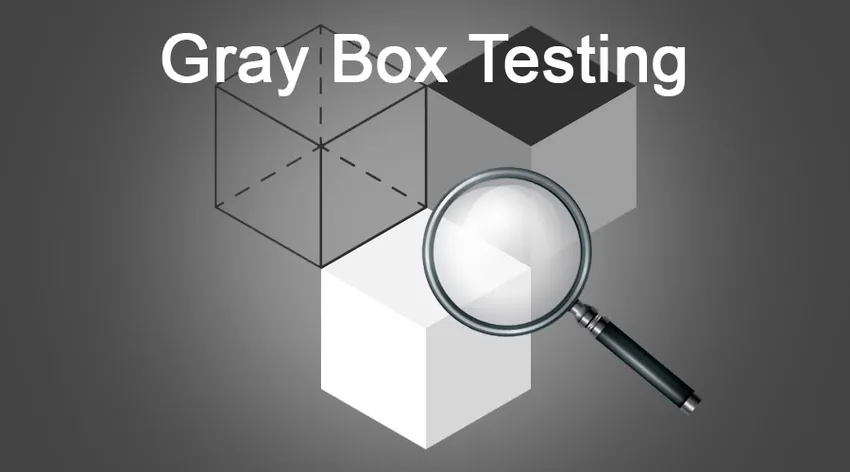 Грей бокс. Метод серого ящика в тестировании. Graybox тестирование. Grey Box Testing. Тестирование cthjujящика.