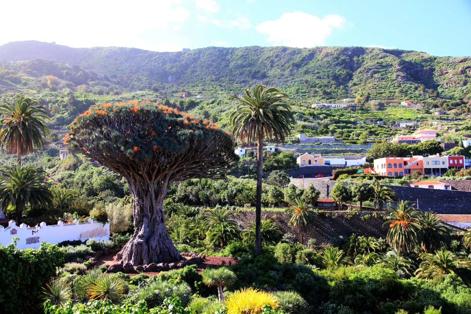 Тенерифе канарские острова фото достопримечательности