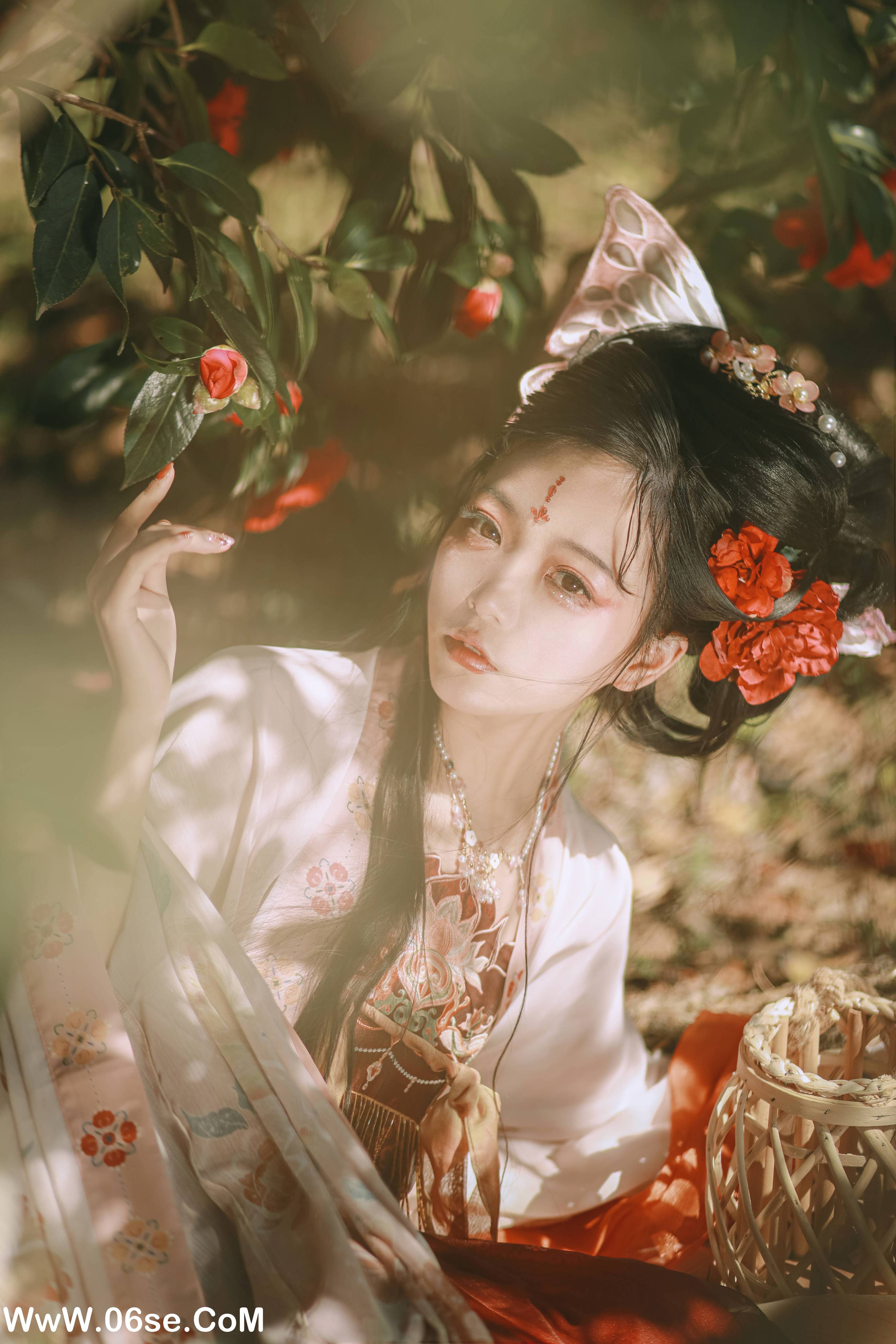 图片[38]-[YITUYU艺图语]2022.06.26 山茶花神 芍药_Y[42P-469M]-六色网