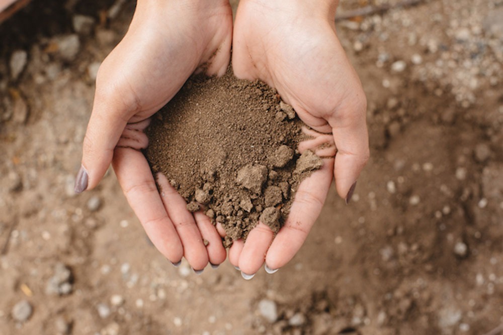 Рациональные почвы. Silt Soil. Loam Soil. Ил почва. Чистота почвы.