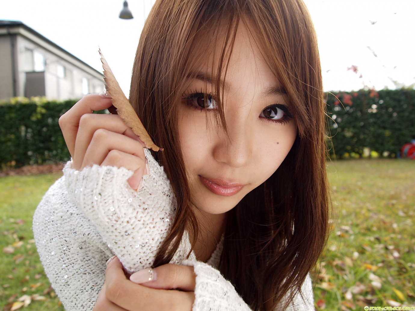 [Image: 2c14d758cb3a0062a4e2d.jpg]