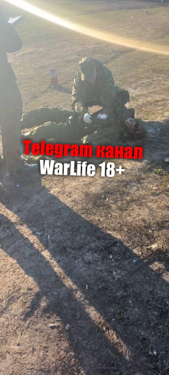 https://telegra.ph/file/2c1564c2c473e06f2b0db.jpg