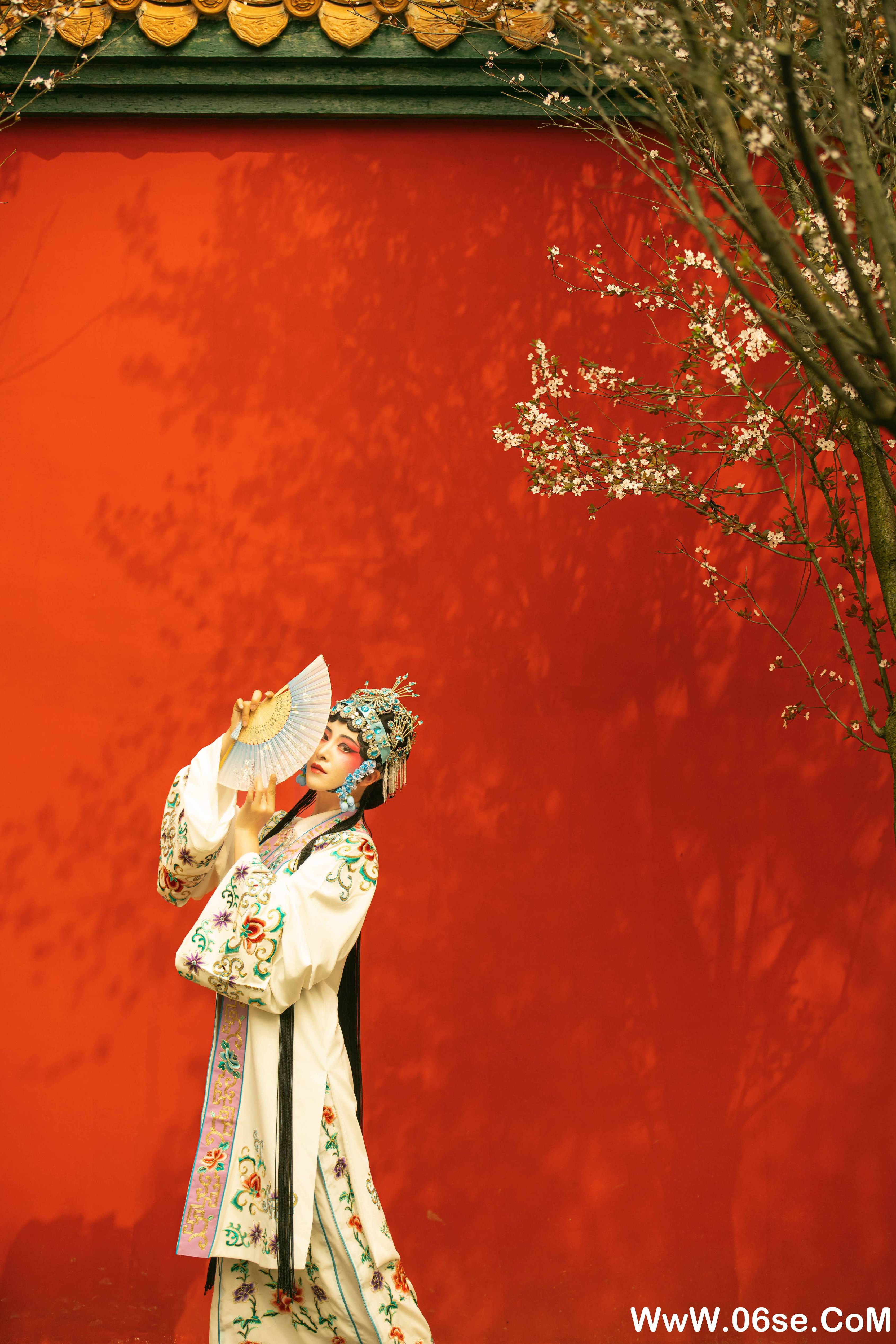 图片[20]-[YITUYU艺图语]2021.12.18 花满枝 修水凝花[22+1P／295MB]-六色网