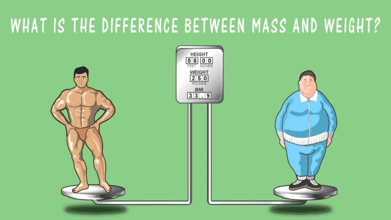 This fact. Mass and Weight. Mass and Weight difference. Difference between Mass and Weight. What is difference between Mass and Weight?.