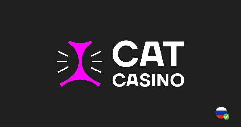 cat casino скачать бесплатно