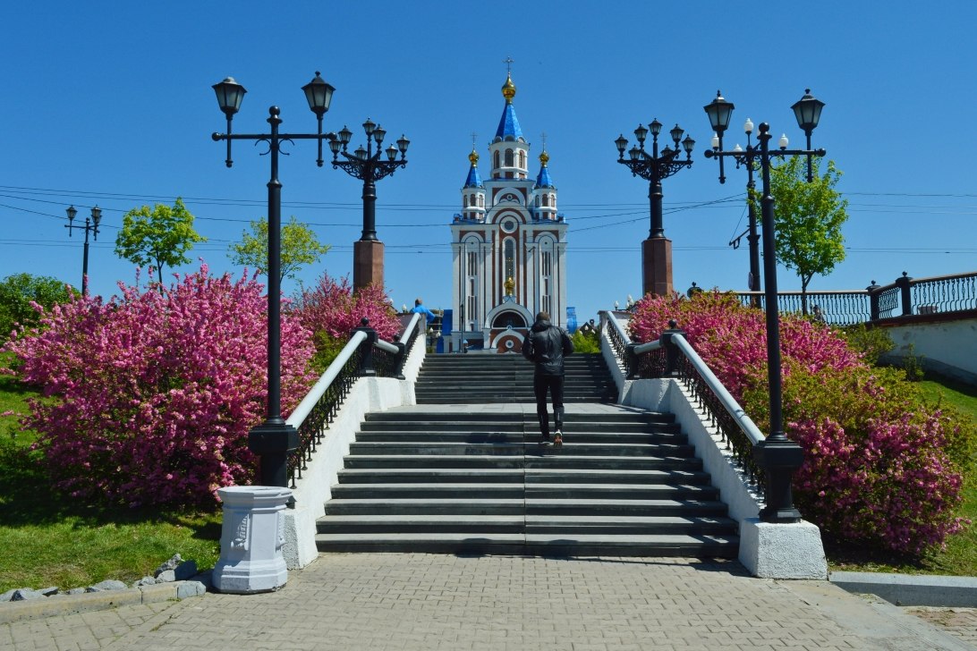 На набережной Хабаровска высадят более 20 тысяч цветов