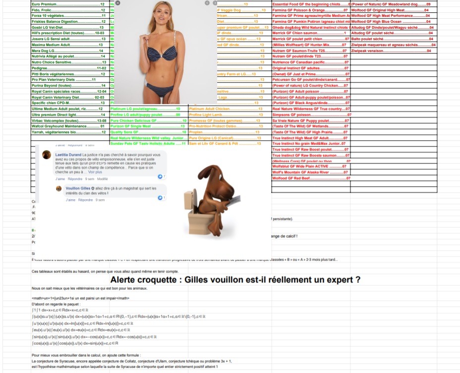 Tableaux Comparatifs Des Croquettes Que Se Passe T Il Telegraph