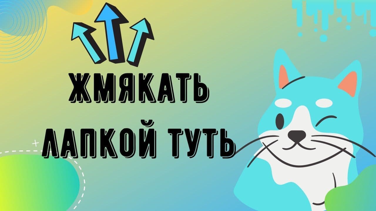 Канал котик. Канал Kotik miotik.