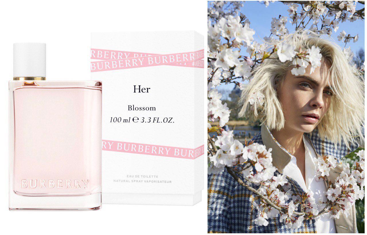 Blossom перевод с английского. Аромат Burberry her Blossom. Burberry Burberry her Blossom. Burberry her Blossom реклама. Реклама Барбери Хе блоссом.