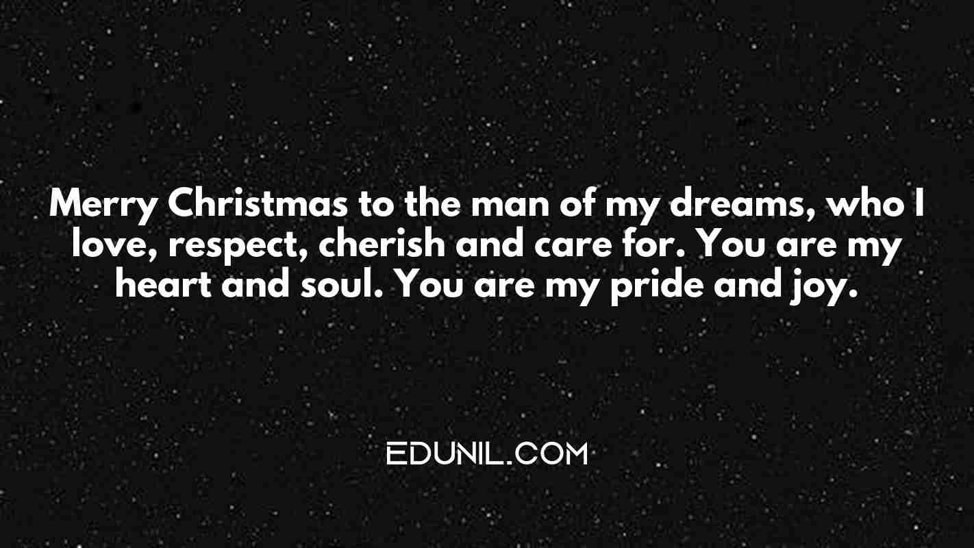 Merry Christmas to the man of my dreams, who I love, respect, cherish and care for. You are my heart and soul. You are my pride and joy. - 
