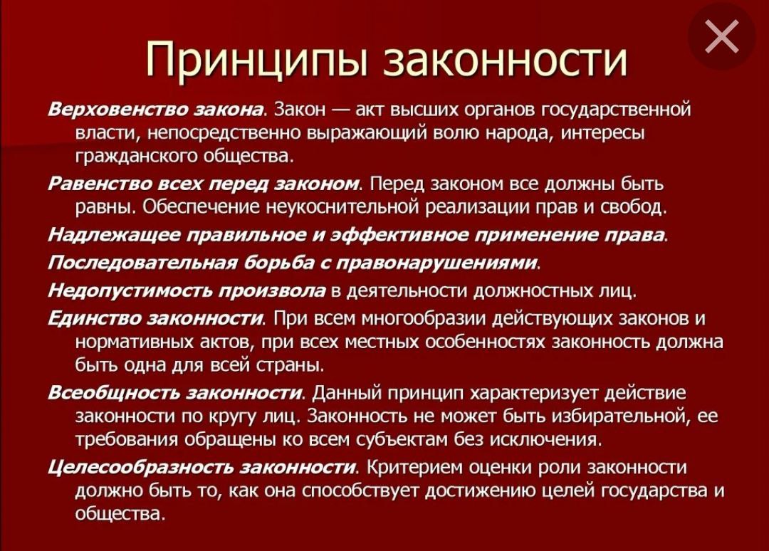 Специфика принципа