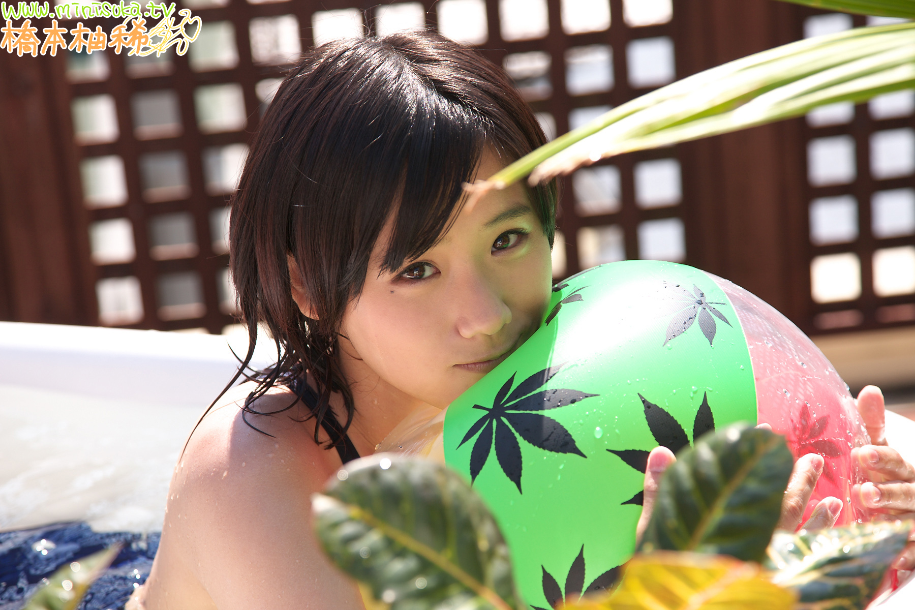 [Image: 2de87079a3262a90c16ef.jpg]