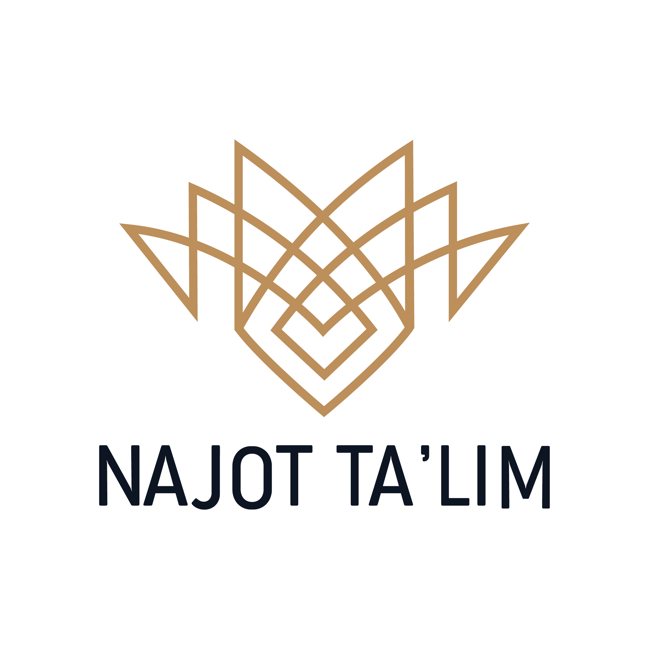 Talim logo. Najot ta'Lim. Ta`Lim логотип. Лого Najot Talim. Najot Talim PNG.