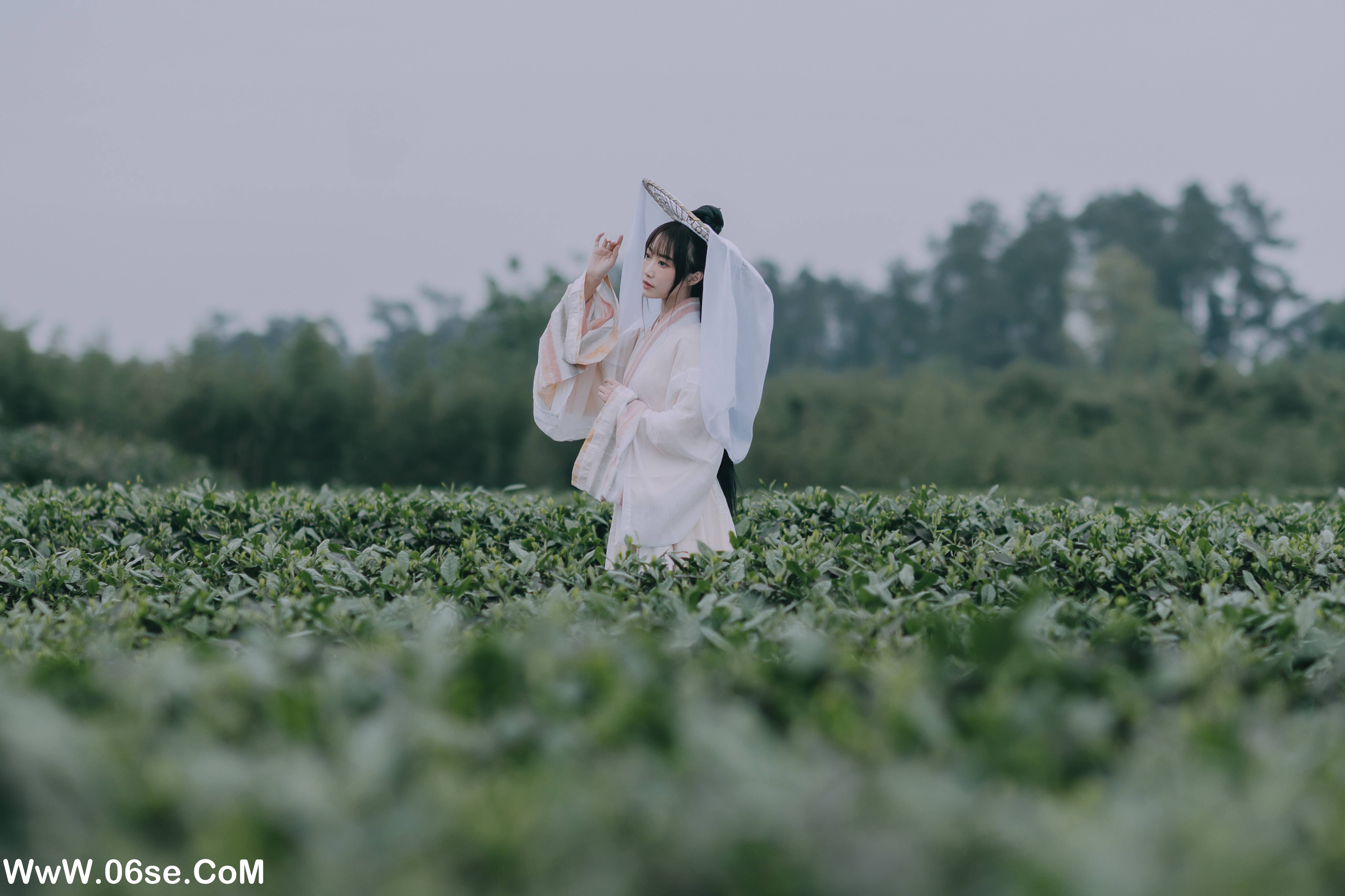 图片[13]-[YITUYU艺图语]2022.05.12 采茶东篱下 蹭饭[20P-203.72 MB]-六色网