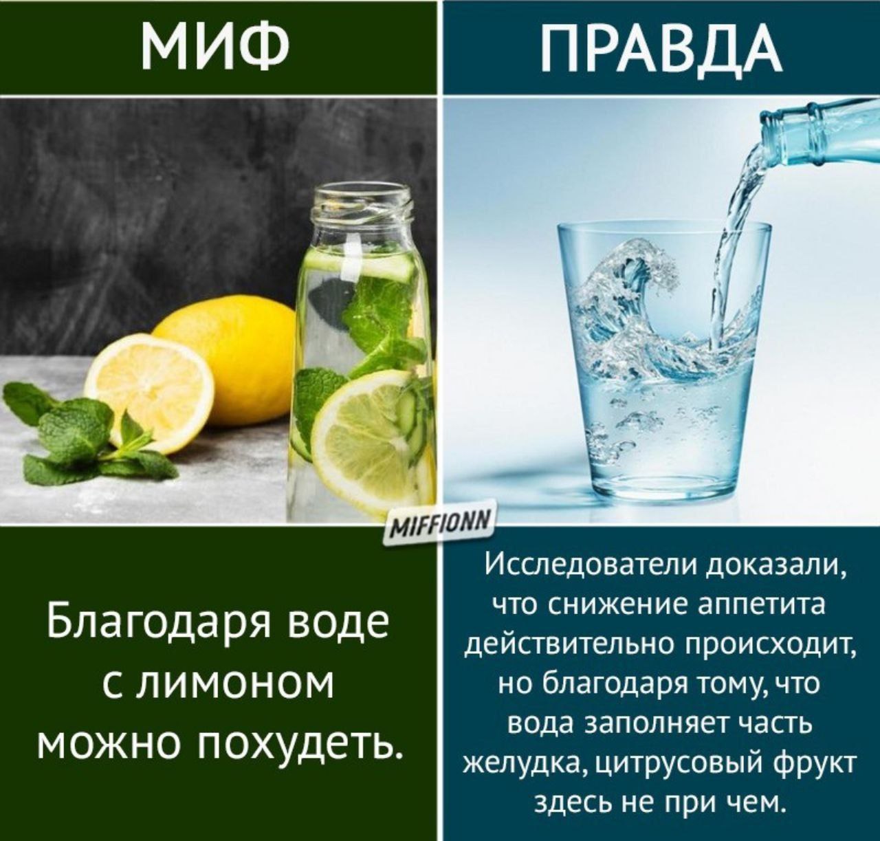 Мифы о питании картинки