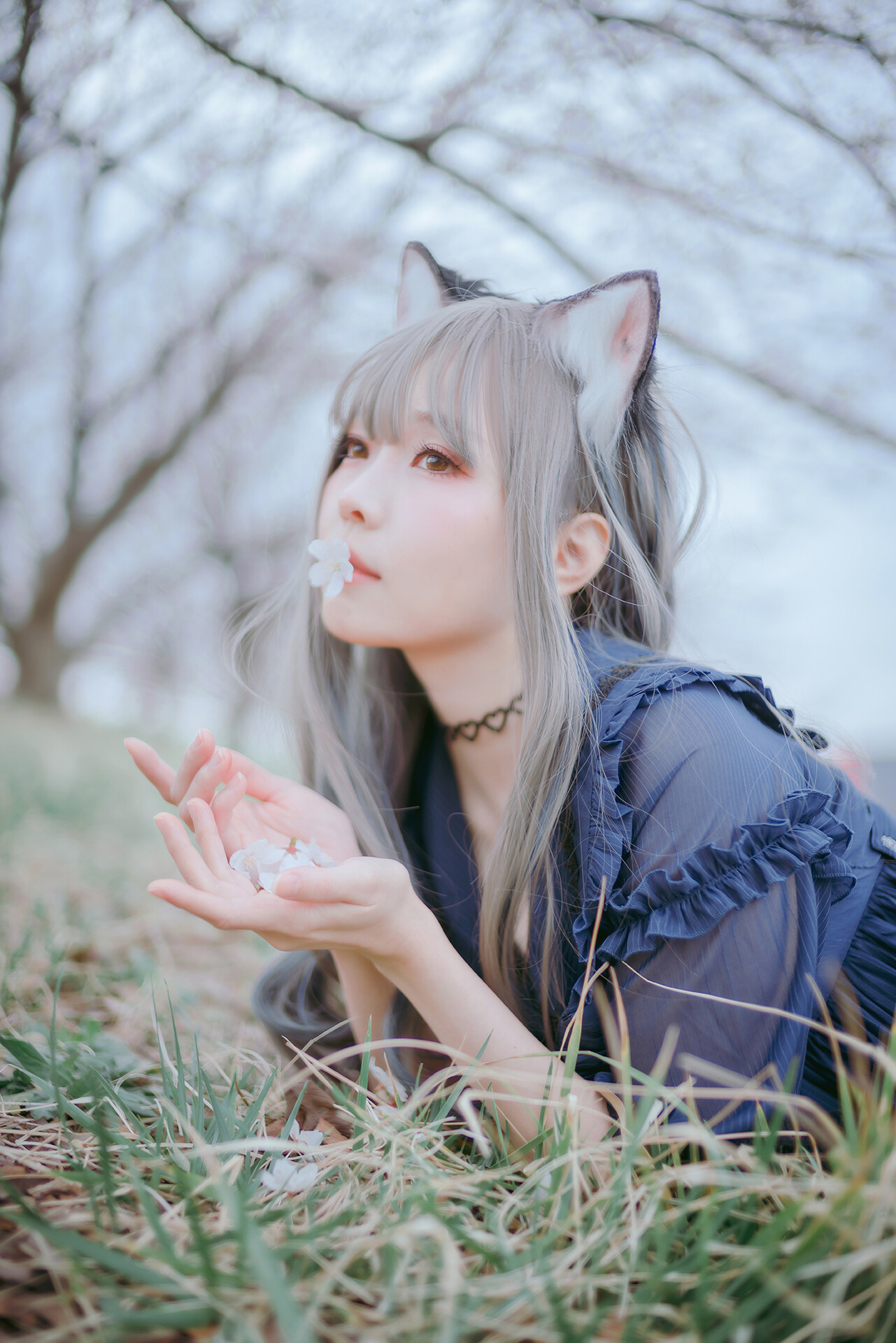 [Ely] Sakura桜 2021 Nekomimi Ver. 21