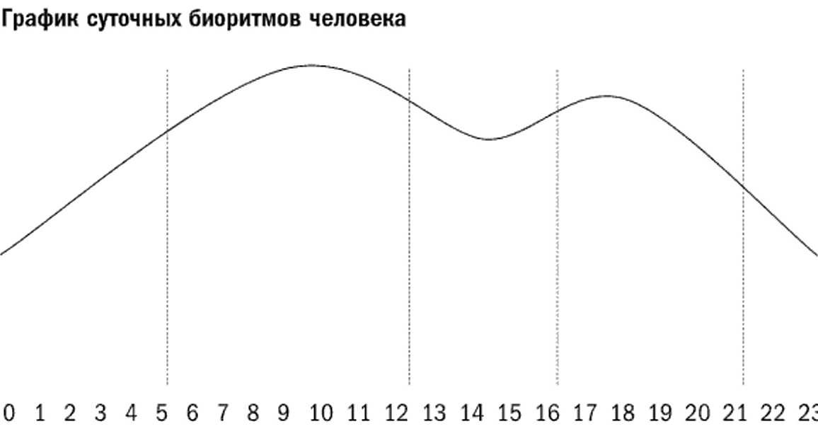 Суточная диаграмма. График суточных ритмов человека. График суточного биоритма. График биоритмов человека. Графики суточных биоритмов человека.