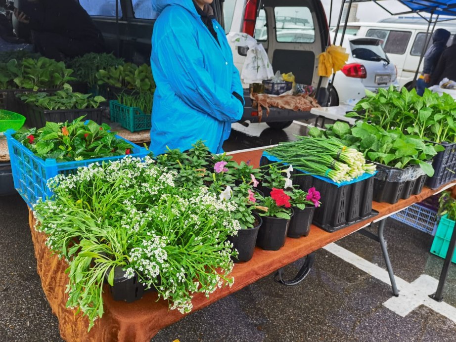 Хабаровчане могут купить свежие овощи на ярмарках выходного дня