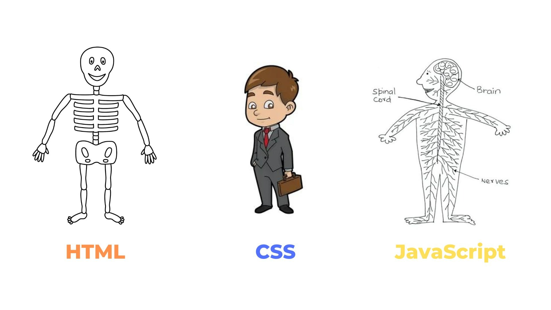 Что такое верстка? – Telegraph