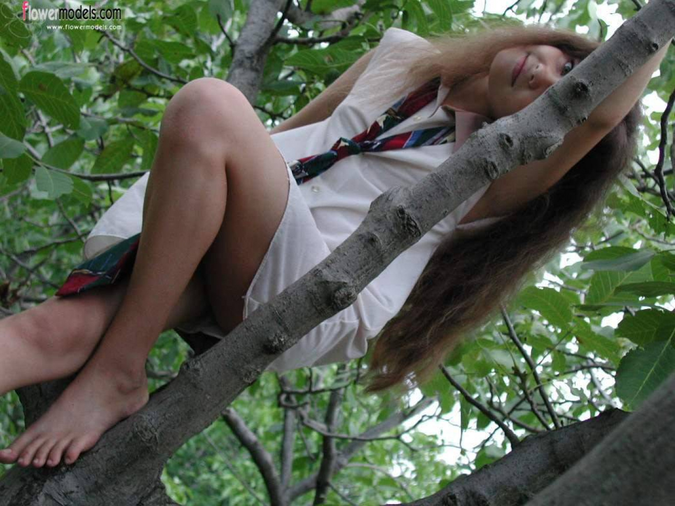 [Image: 307cfe7b44b933ded4dab.jpg]