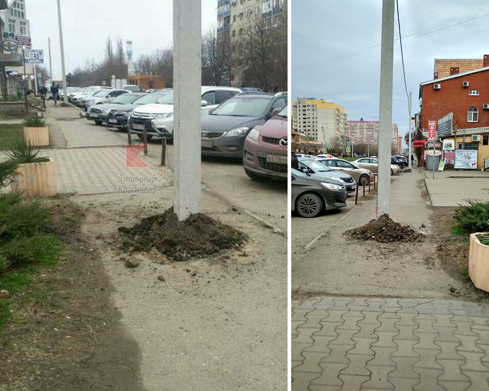 Прямо поставленный. Столбы посреди тротуара Симферополь. Краснодар узкие тротуары. Сосны посреди тротуара. Истра столб посреди тротуара.