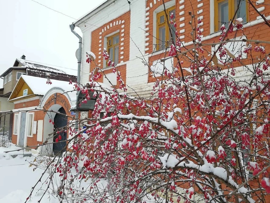 Погода на неделю одоев тульской области. Анастасов монастырь Одоев. Дом купца Каширина Одоев. Одоев Кремль. Одоев зимой.