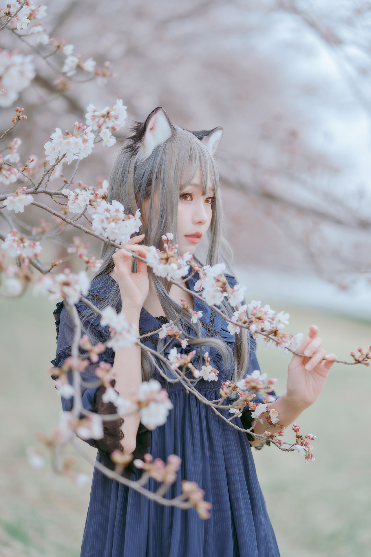 [Ely] Sakura桜 2021 Nekomimi Ver. 9