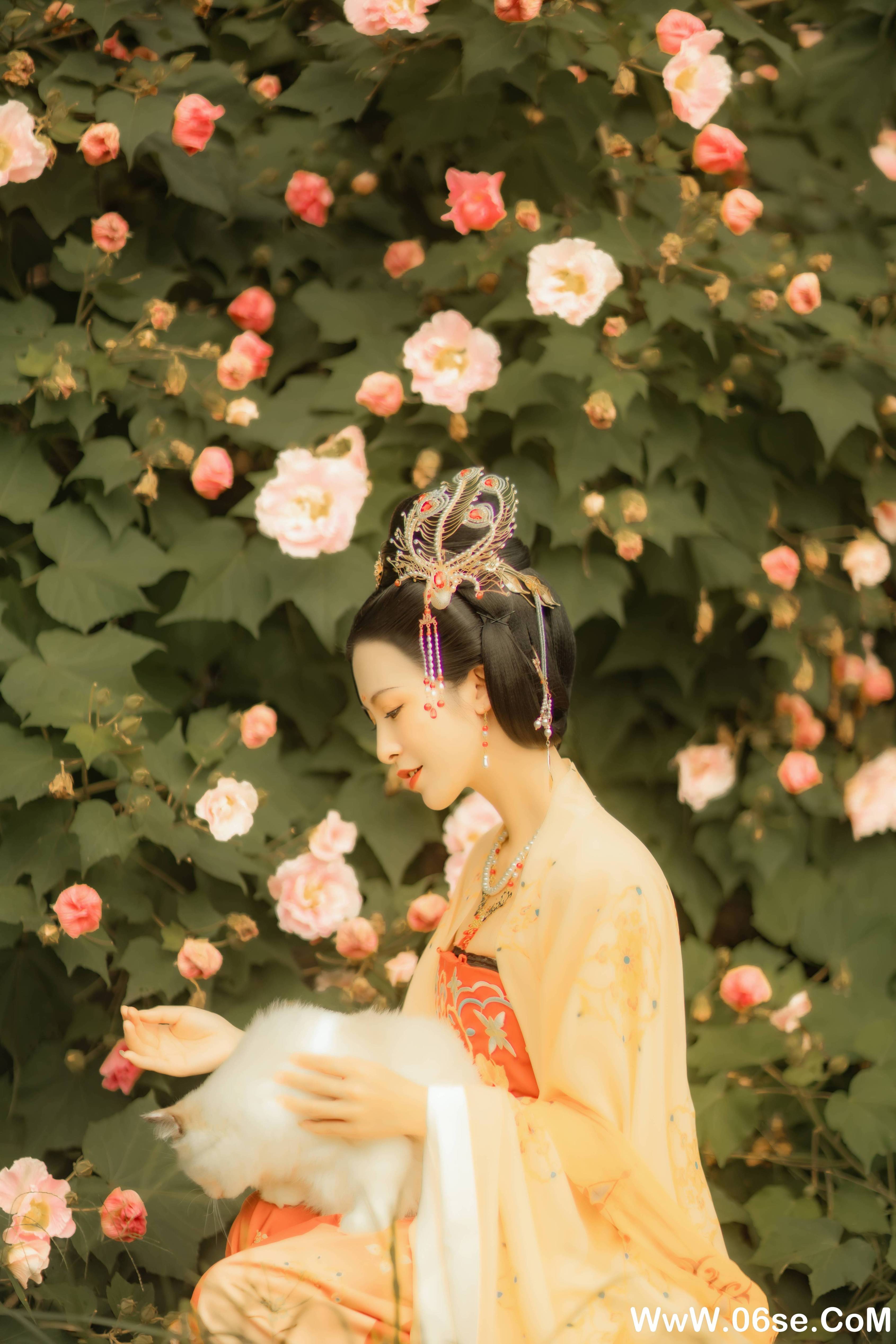 图片[6]-[YITUYU艺图语]2021.11.18 芙蓉词 修水凝花[37+1P／515MB]-六色网
